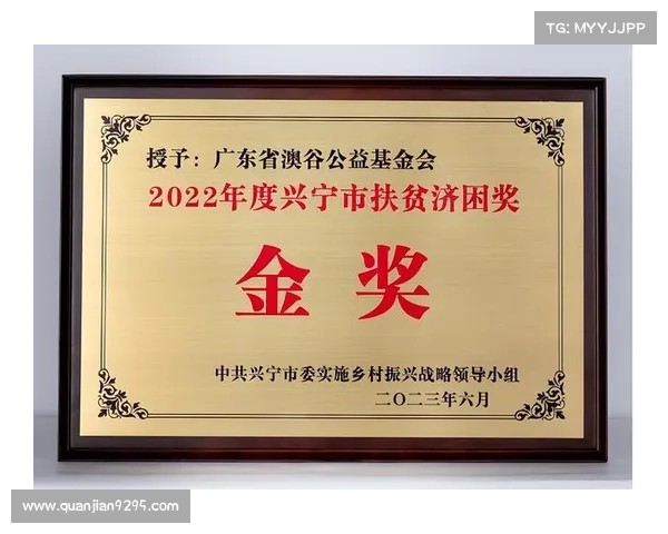 如何成为五星慈善单位的捐赠者并享受相应荣誉与回报